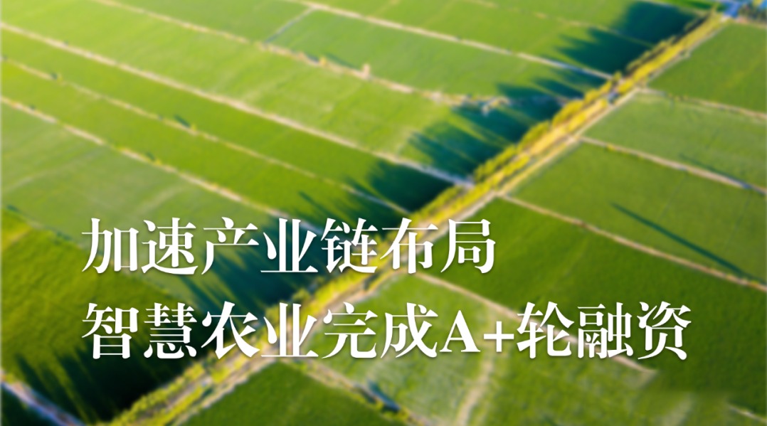 加速农业产业链布局，五五世纪完成A+轮融资