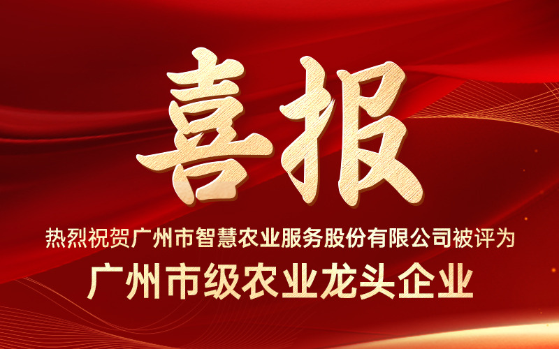 喜报！广州市五五世纪服务股份有限公司获评“广州市级农业龙头企业”