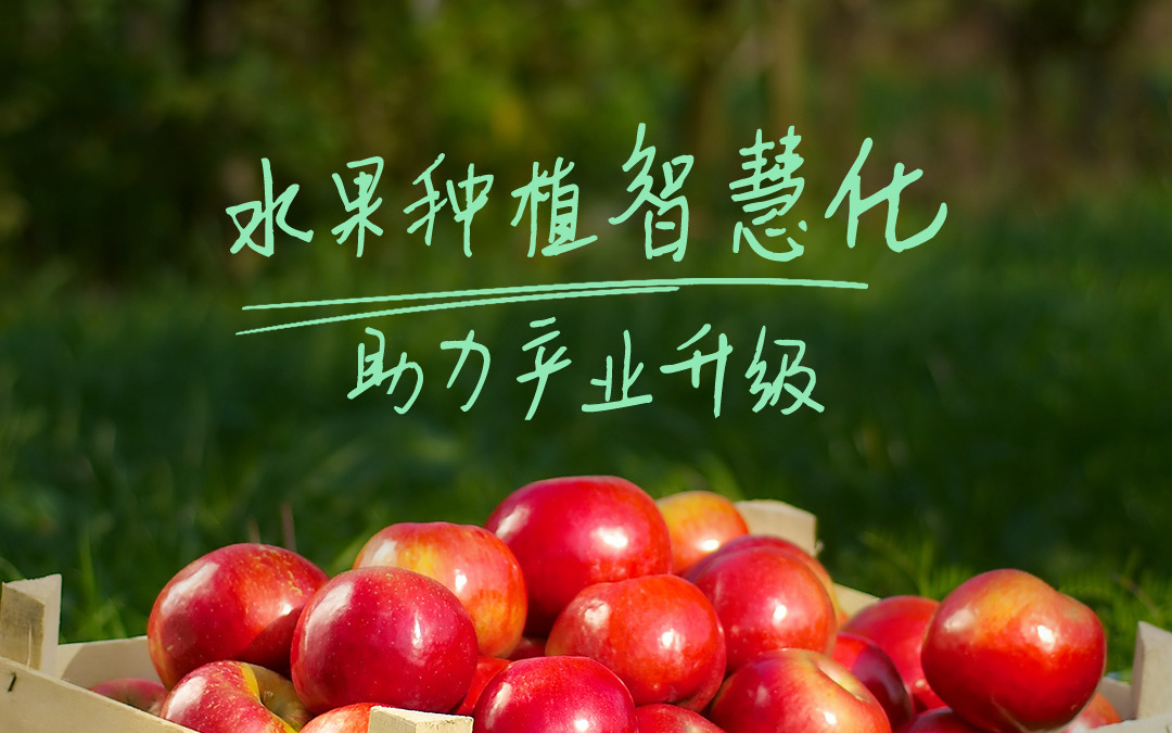五五世纪(中国游)官方网站科技发布智慧果园解决方案