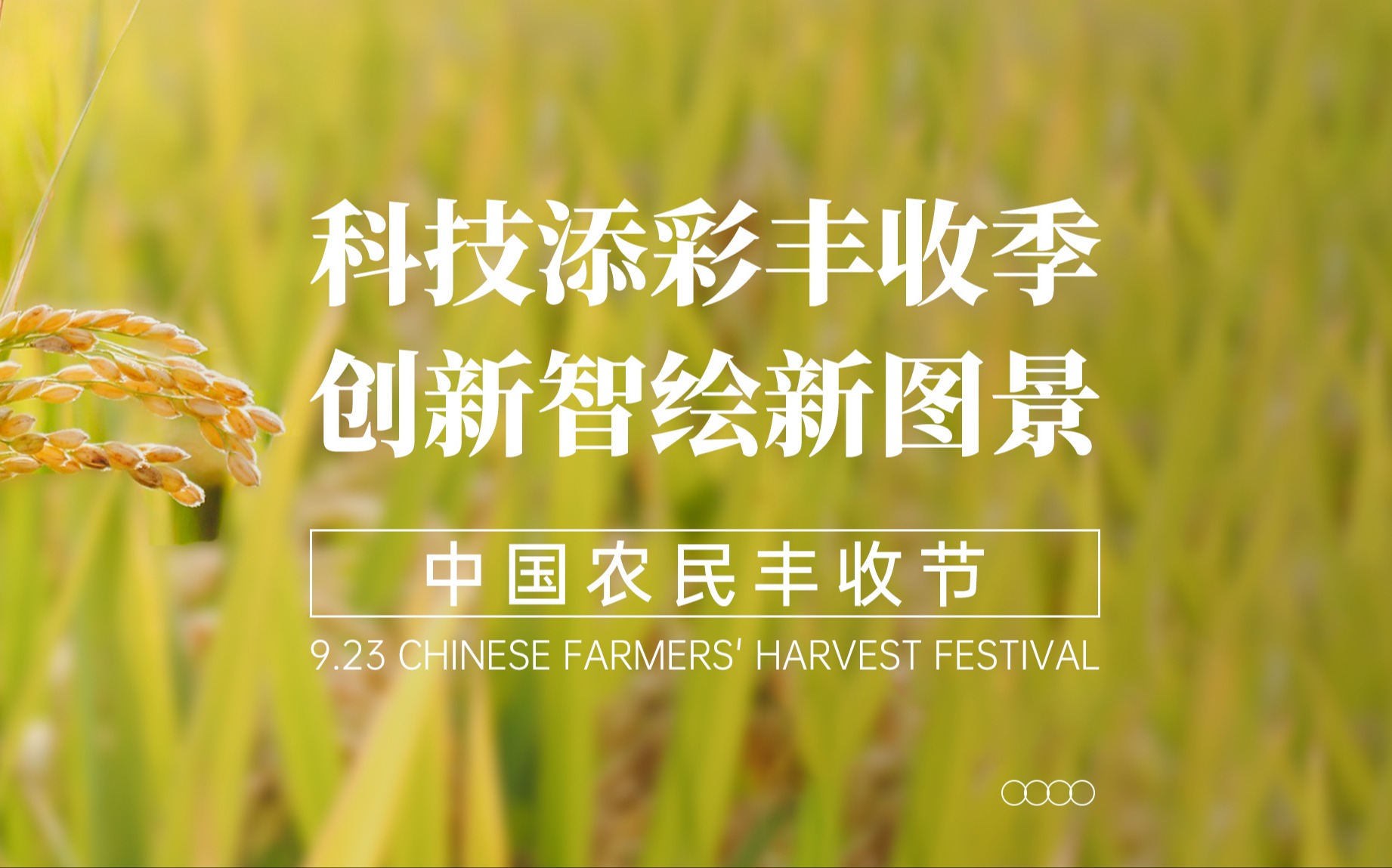 科技添彩丰收季，创新智绘新图景！